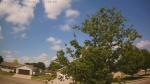 Web Cam Image - Fri, 06/05/2026 10:29am CDT