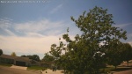 Web Cam Image - Tue, 06/09/2026 1:46pm CDT