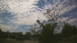 Web Cam Image - Sat, 05/16/2026 2:41pm CDT