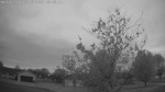 Web Cam Image - Mon, 05/18/2026 4:47am CDT