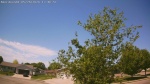 Web Cam Image - Tue, 05/26/2026 11:08am CDT