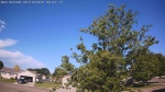 Web Cam Image - Fri, 06/19/2026 7:40am CDT