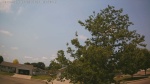 Web Cam Image - Sun, 06/28/2026 11:14am CDT