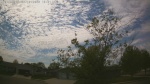 Web Cam Image - Sat, 05/16/2026 2:40pm CDT