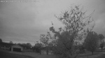 Web Cam Image - Mon, 05/18/2026 4:46am CDT