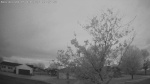 Web Cam Image - Tue, 05/19/2026 5:19am CDT