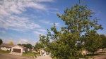 Web Cam Image - Wed, 06/03/2026 9:34am CDT