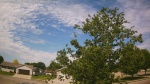 Web Cam Image - Thu, 06/04/2026 10:16am CDT