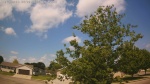 Web Cam Image - Fri, 06/05/2026 10:25am CDT