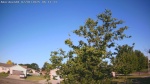 Web Cam Image - Mon, 06/30/2025 11:53pm CDT