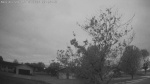 Web Cam Image - Mon, 05/18/2026 4:43am CDT
