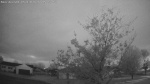 Web Cam Image - Tue, 05/19/2026 5:17am CDT