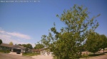 Web Cam Image - Tue, 05/26/2026 11:04am CDT