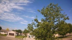 Web Cam Image - Wed, 06/03/2026 9:31am CDT