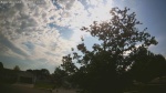 Web Cam Image - Thu, 06/04/2026 5:37pm CDT