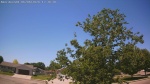 Web Cam Image - Sat, 06/06/2026 11:44am CDT