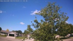 Web Cam Image - Sun, 06/14/2026 10:31am CDT