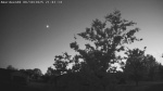 Web Cam Image - Mon, 06/30/2025 3:53pm CDT