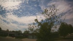 Web Cam Image - Sat, 05/16/2026 2:35pm CDT