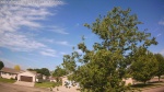 Web Cam Image - Wed, 06/03/2026 9:29am CDT