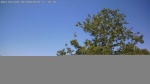 Web Cam Image - Sat, 06/06/2026 11:43am CDT