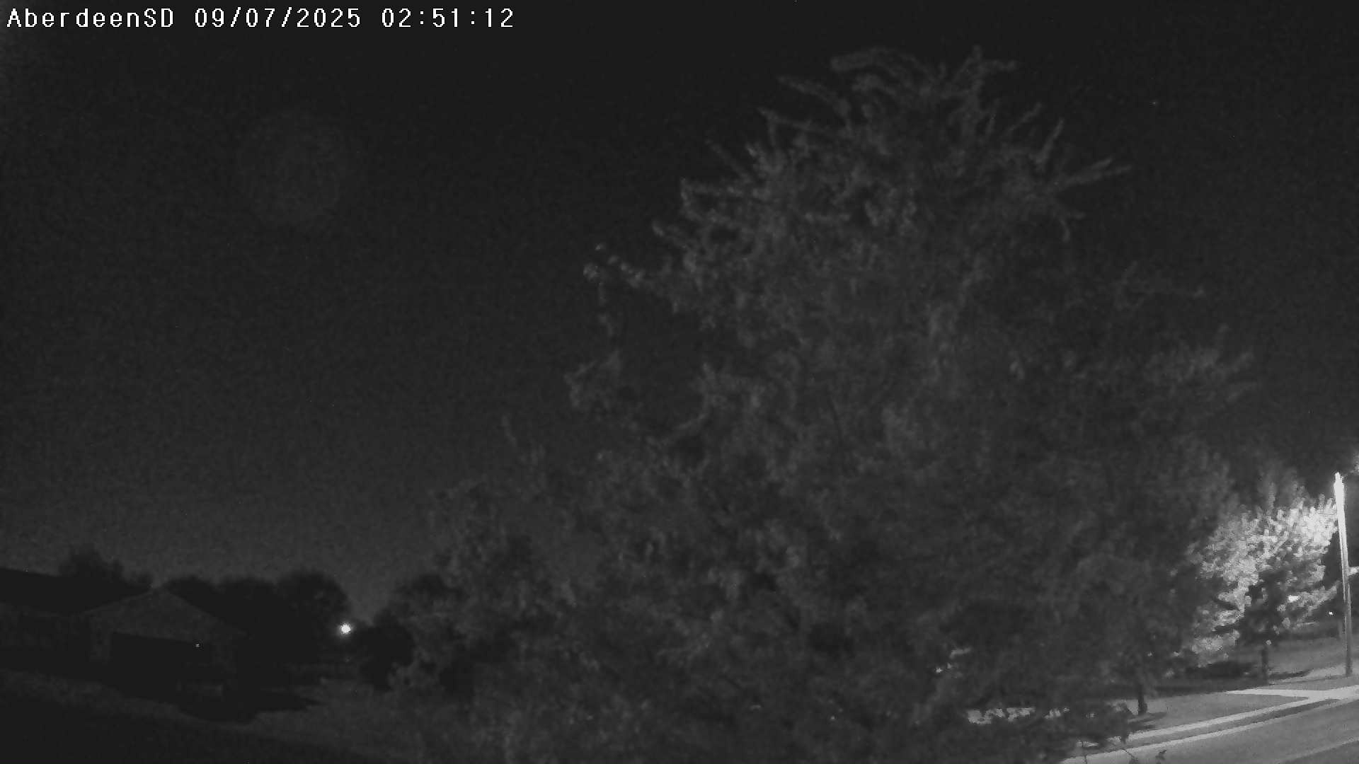Web Cam History Image - 77