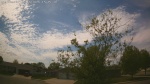 Web Cam Image - Sat, 05/16/2026 2:34pm CDT