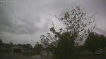 Web Cam Image - Mon, 05/18/2026 5:19pm CDT