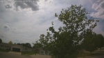 Web Cam Image - Thu, 05/28/2026 2:55pm CDT