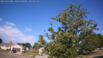 Web Cam Image - Fri, 06/19/2026 7:31am CDT