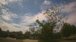 Web Cam Image - Sat, 05/16/2026 2:29pm CDT