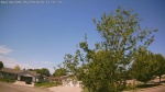Web Cam Image - Tue, 05/26/2026 10:56am CDT