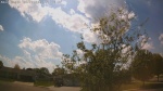 Web Cam Image - Sat, 05/23/2026 3:43pm CDT