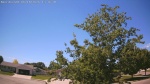 Web Cam Image - Sun, 06/14/2026 12:46pm CDT