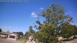 Web Cam Image - Sat, 06/20/2026 10:16am CDT