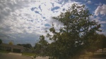 Web Cam Image - Mon, 06/22/2026 3:10pm CDT