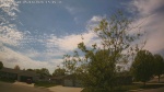 Web Cam Image - Sat, 05/16/2026 2:28pm CDT