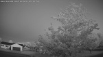Web Cam Image - Tue, 06/16/2026 4:07am CDT