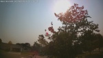 Web Cam Image - Wed, 07/01/2026 5:16pm CDT
