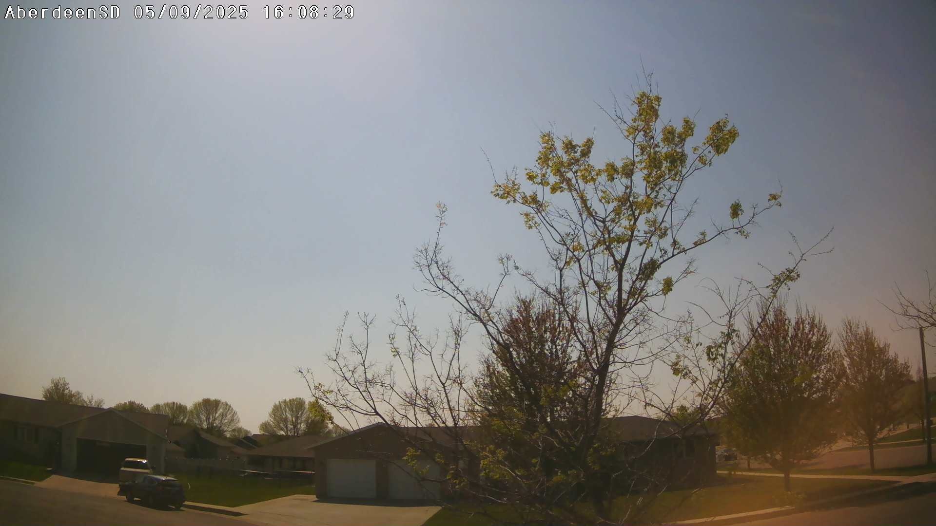 Web Cam History Image - 81
