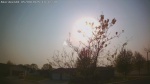 Web Cam Image - Fri, 05/09/2025 2:56pm CDT