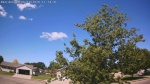 Web Cam Image - Sun, 06/14/2026 10:19am CDT
