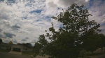 Web Cam Image - Mon, 06/22/2026 12:43pm CDT
