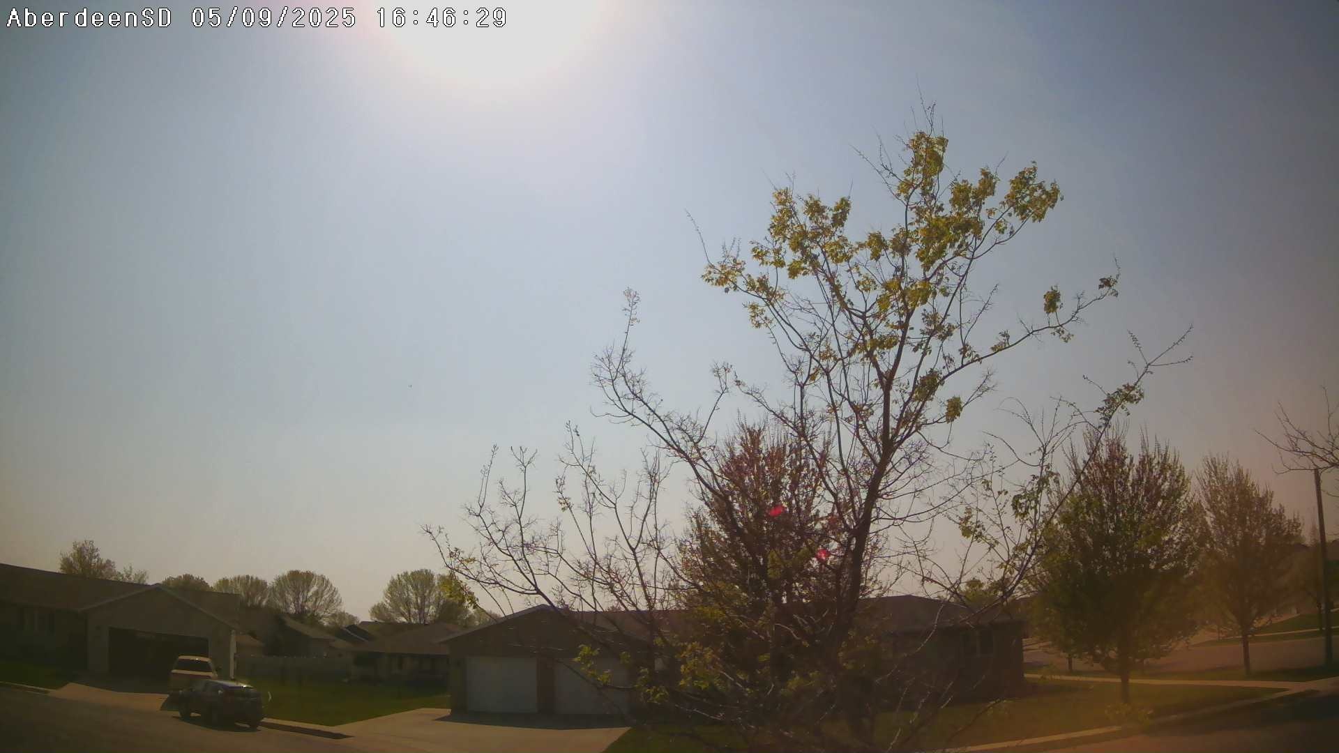 Web Cam History Image - 82