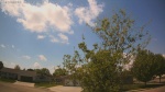 Web Cam Image - Sat, 05/23/2026 1:13pm CDT