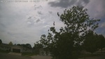Web Cam Image - Thu, 05/28/2026 2:46pm CDT