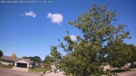 Web Cam Image - Sun, 06/14/2026 10:16am CDT