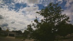Web Cam Image - Mon, 06/22/2026 12:41pm CDT