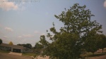 Web Cam Image - Sat, 06/27/2026 10:43am CDT