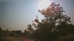 Web Cam Image - Wed, 07/01/2026 5:13pm CDT